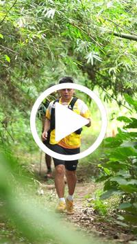 BIB:  <button type="button" onclick="openModal(26823804)" class="btn btn-primary btn-sm float-right" data-toggle="modal" data-target=".modal-high-quality">
                <i class="fa fa-download"></i> Download
                </button>